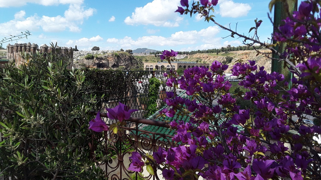 Photo of Outdoor in Ain Azlitan
