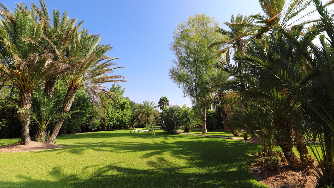 Photo of Outdoor in Palmeraie