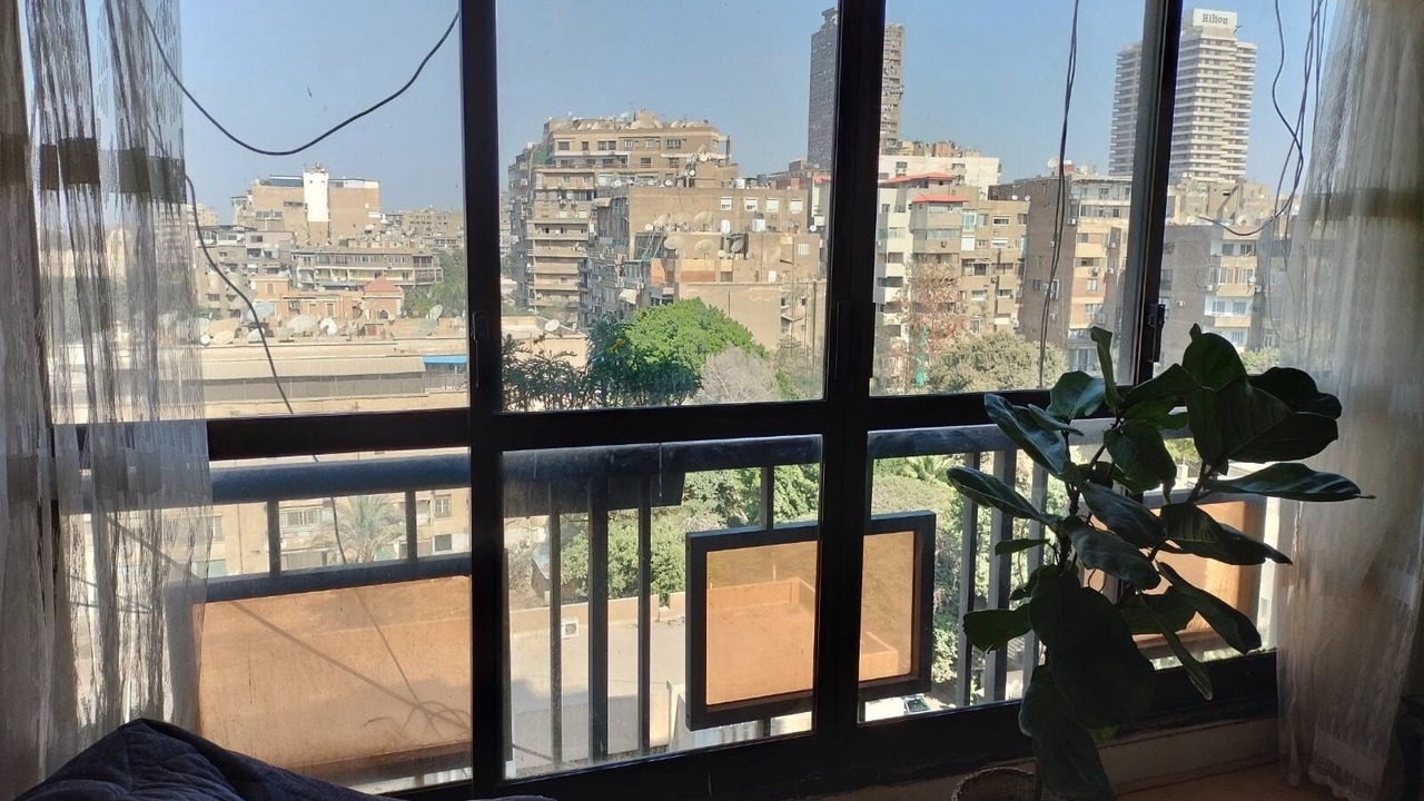 Photo of Others in Zamalek