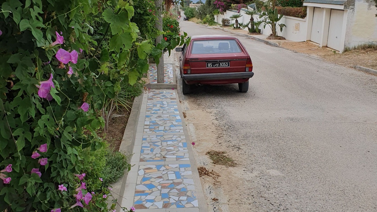 Photo of Outdoor in Chott Mariem