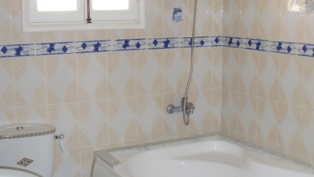 Photo of Bathroom in Chott Mariem
