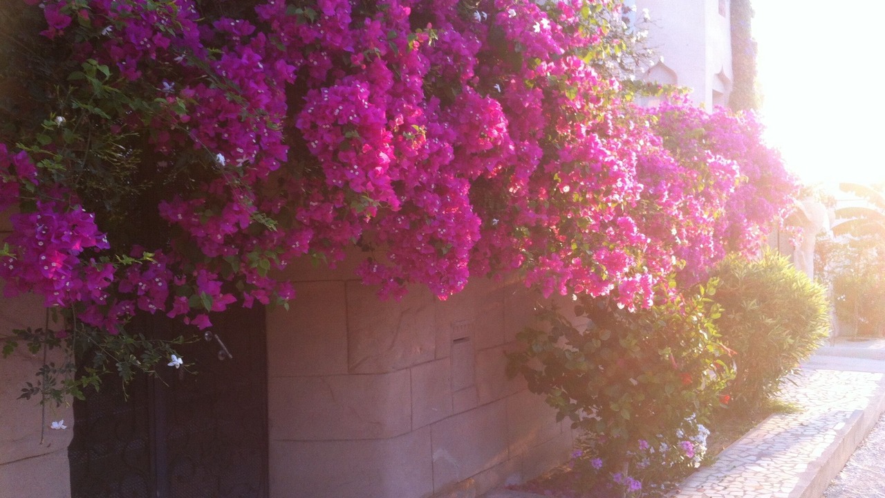 Photo of Outdoor in Chott Mariem