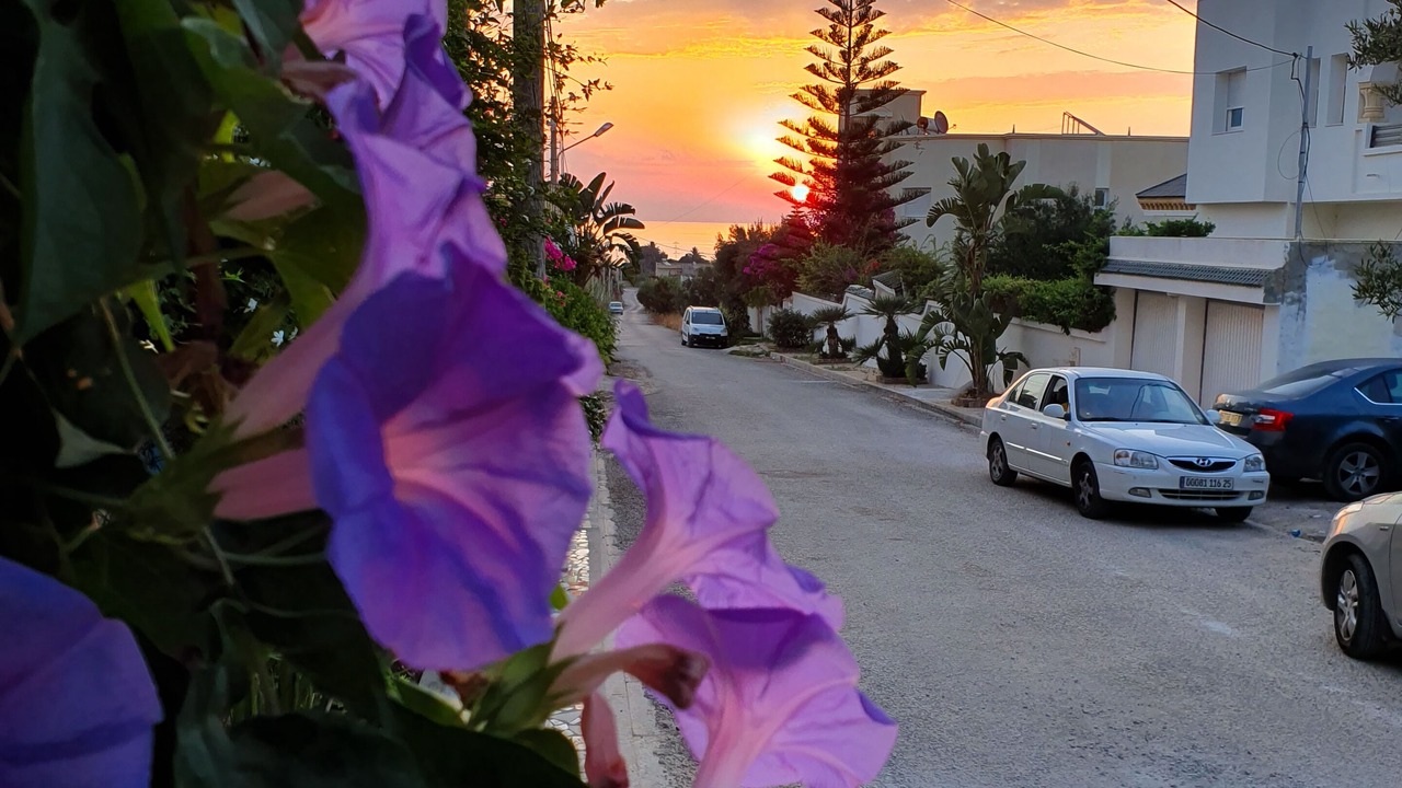 Photo of Outdoor in Chott Mariem
