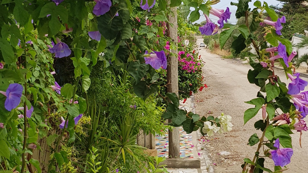 Photo of Outdoor in Chott Mariem