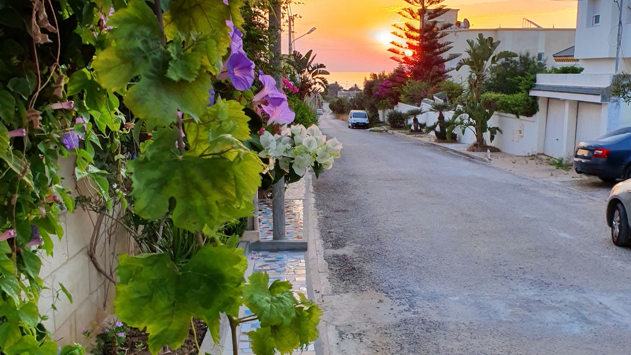 Photo of Outdoor in Chott Mariem