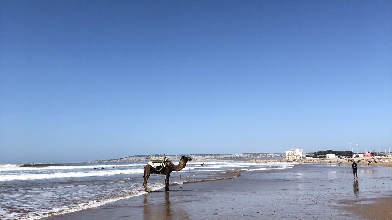 Photo of Others in Essaouira