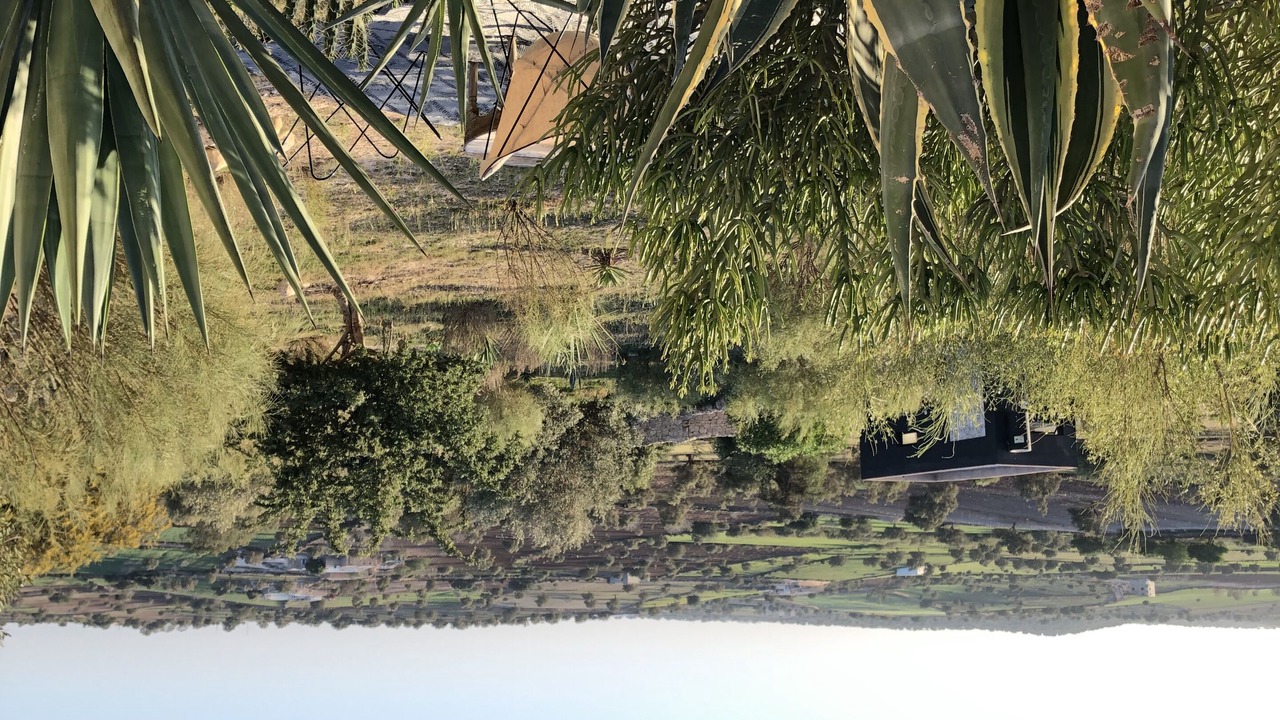 Photo of Outdoor in Essaouira