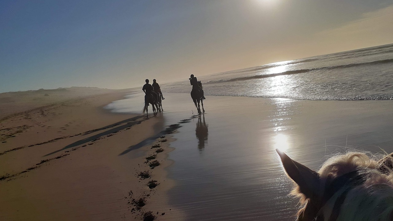 Photo of Others in Essaouira