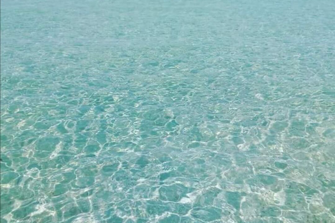 Photo of Outdoor in Bizerte