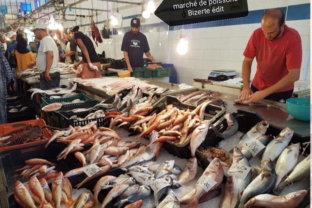 Photo of Others in Bizerte