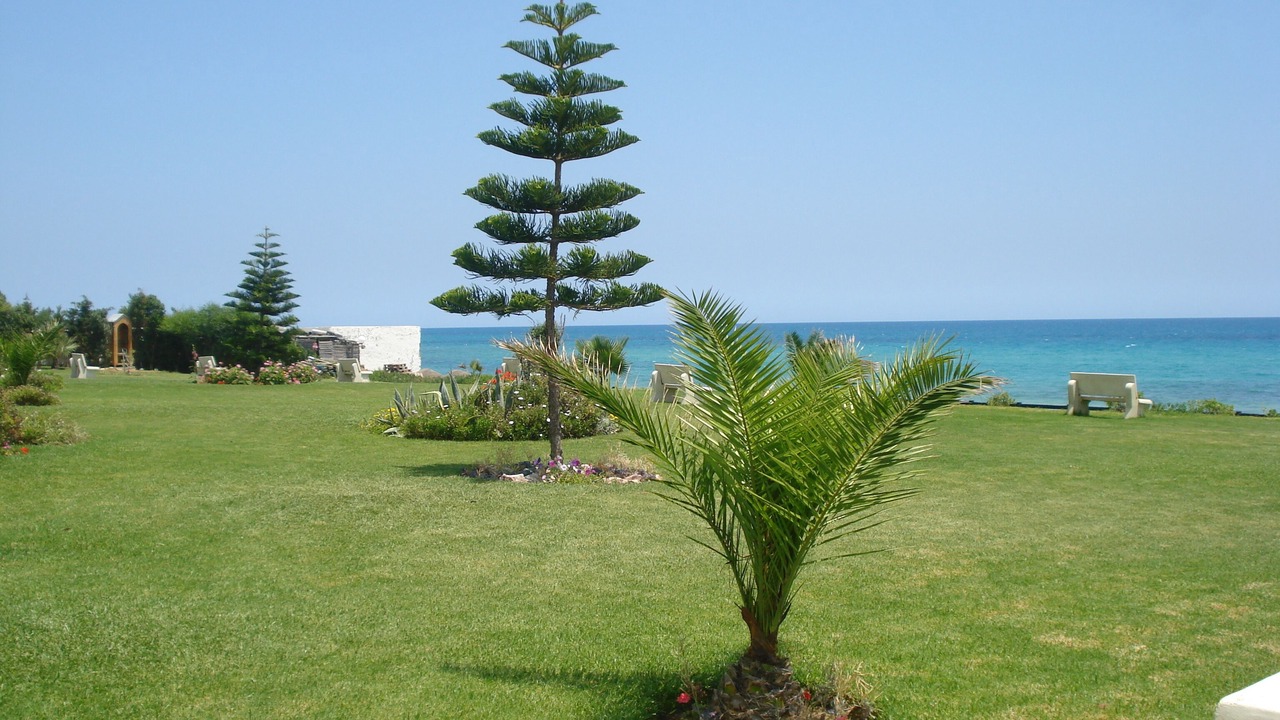 Photo of Outdoor in Eastern Hammamet