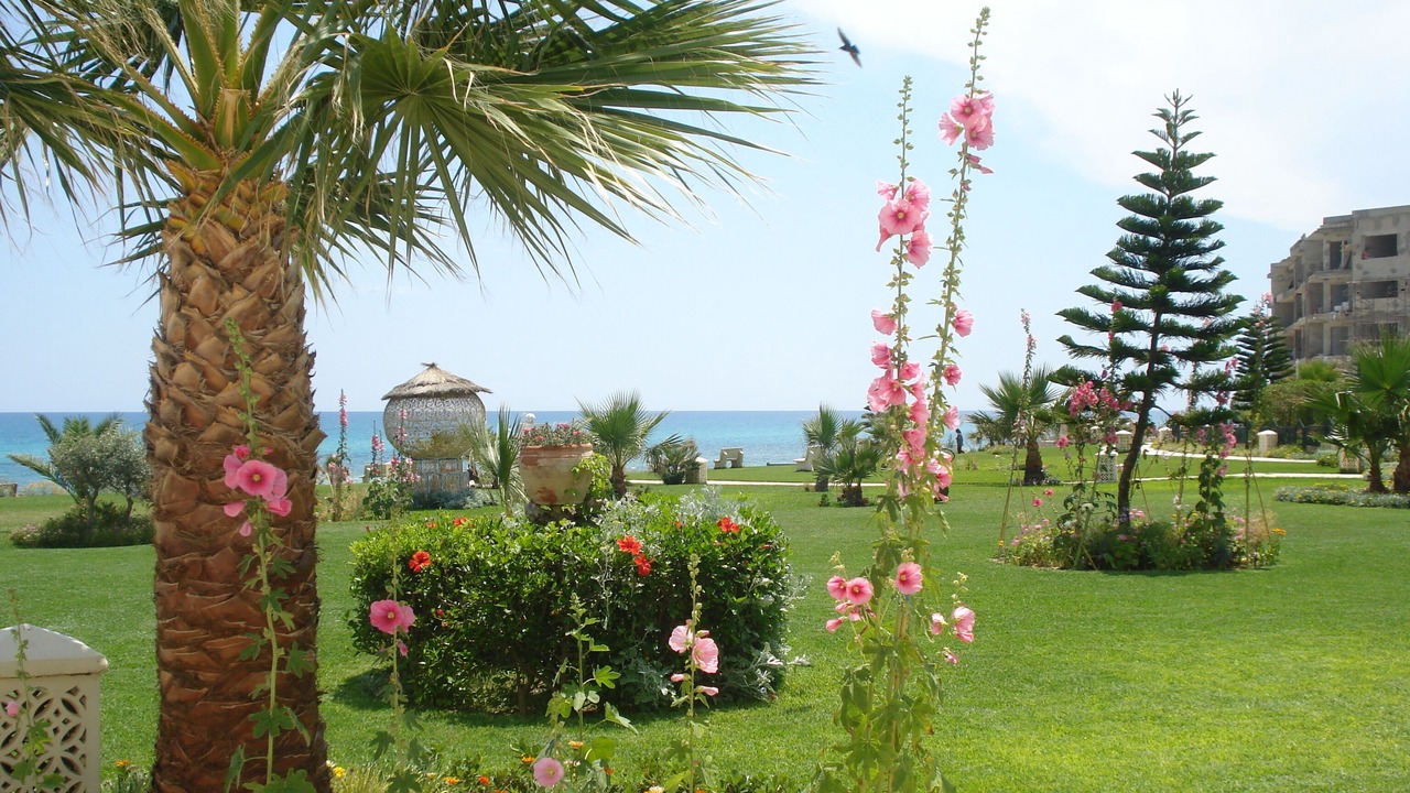 Photo of Outdoor in Eastern Hammamet