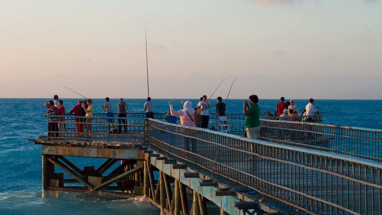 Photo of Others in Marina El Alamein