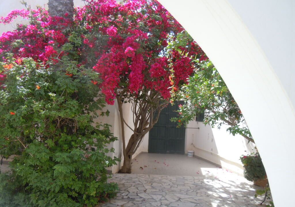 Photo of Outdoor in Mahdia