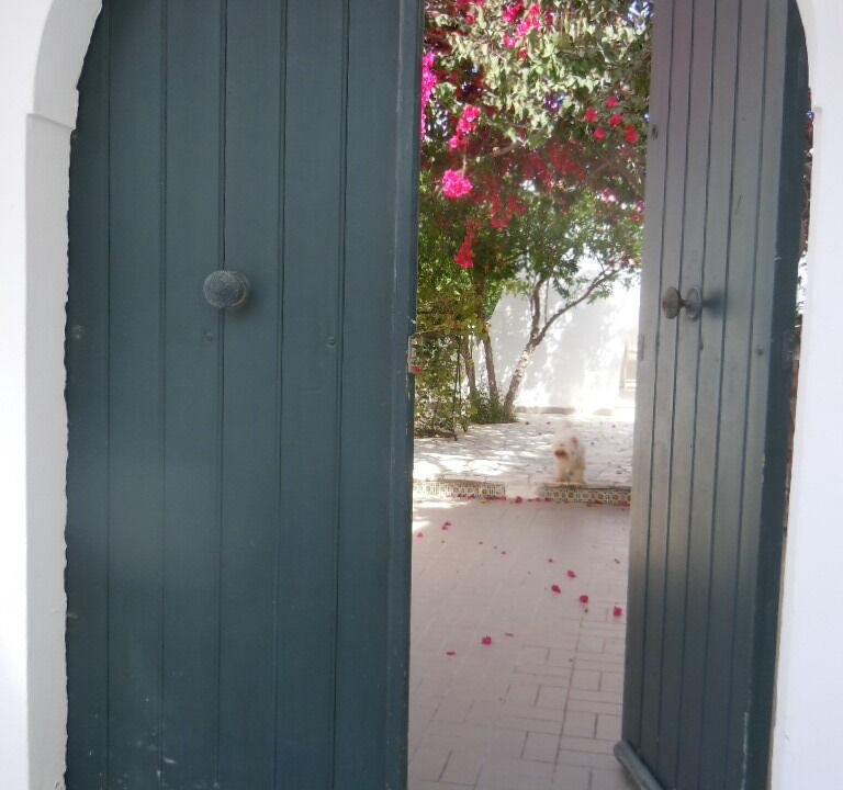 Photo of Outdoor in Mahdia
