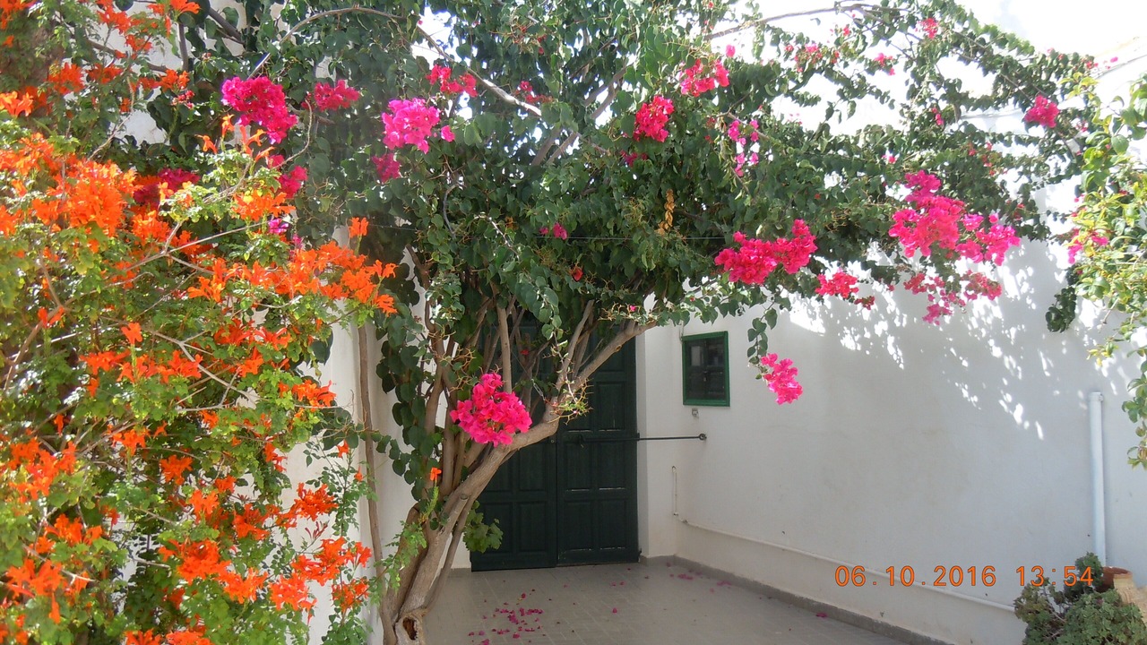 Photo of Outdoor in Mahdia
