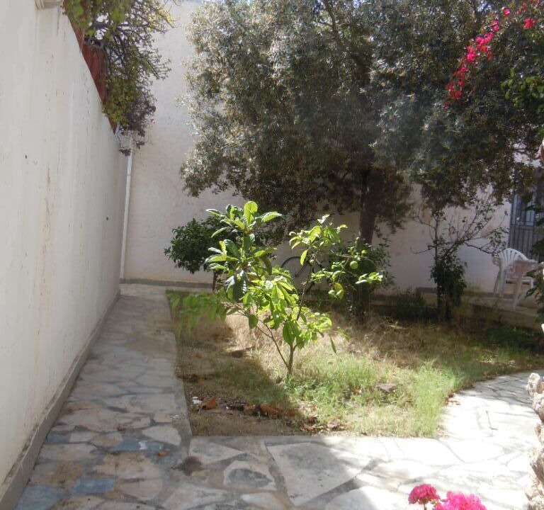 Photo of Outdoor in Mahdia