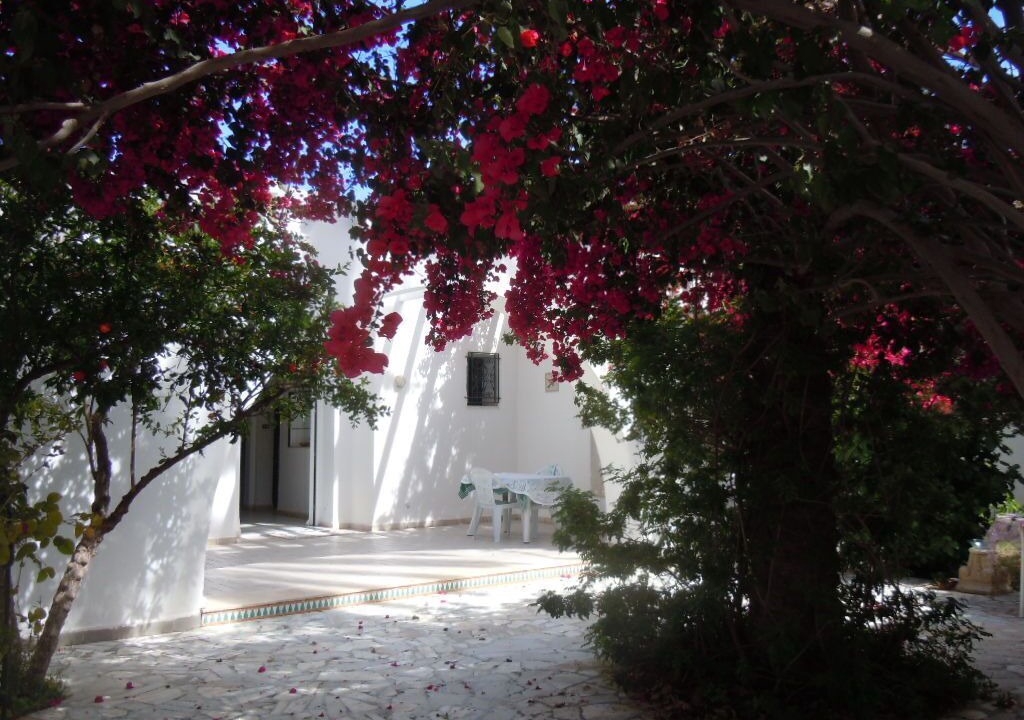 Photo of Patio Balcony in Mahdia