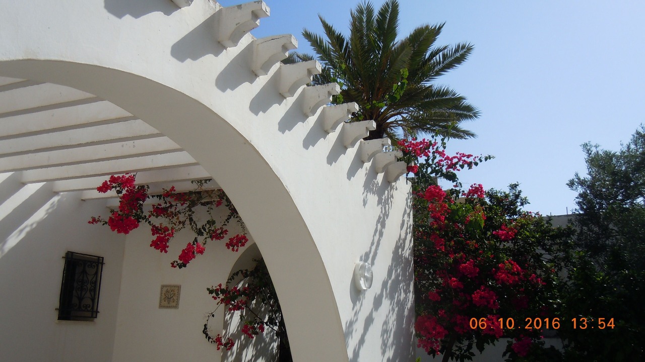 Photo of Outdoor in Mahdia