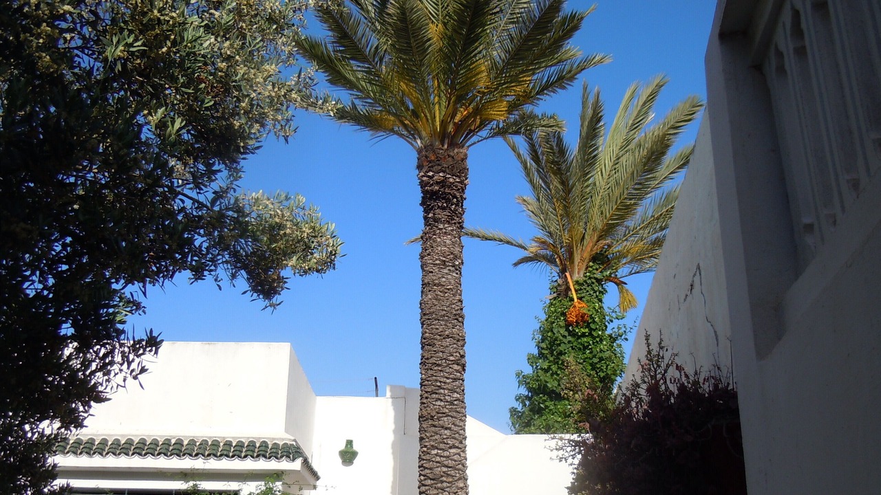 Photo of Outdoor in Mahdia