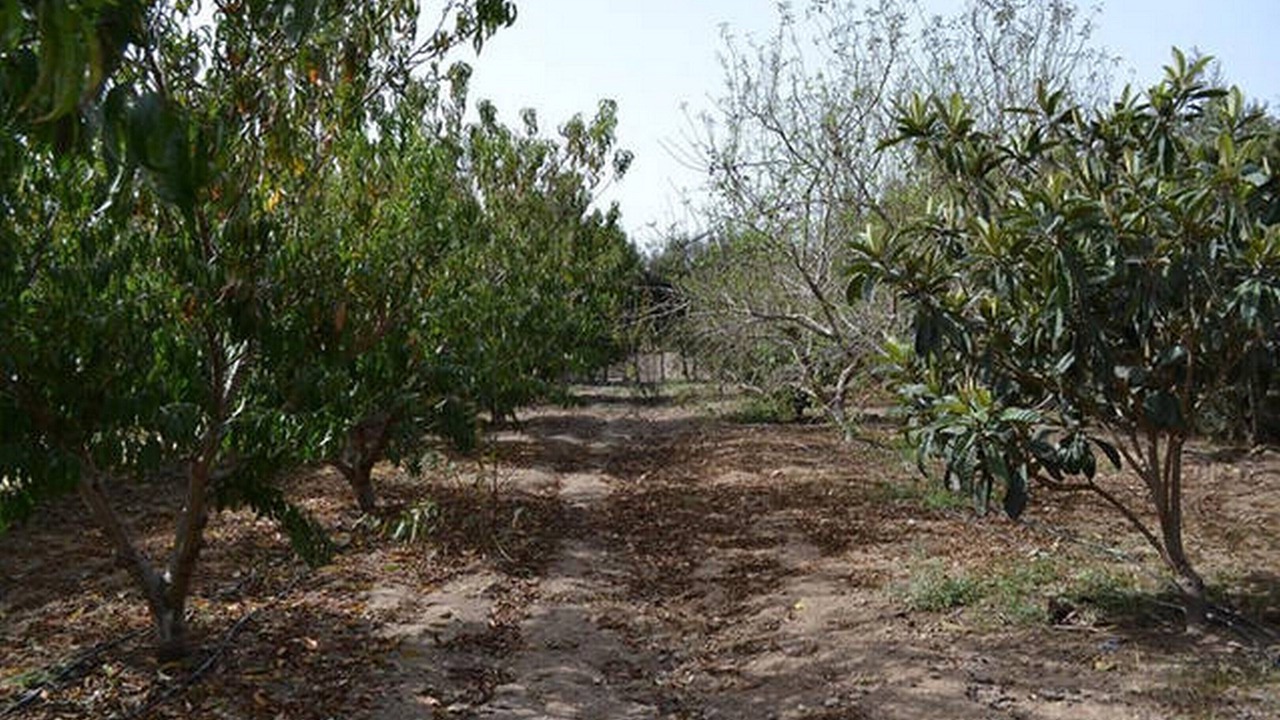 Photo of Outdoor in Dar Allouche
