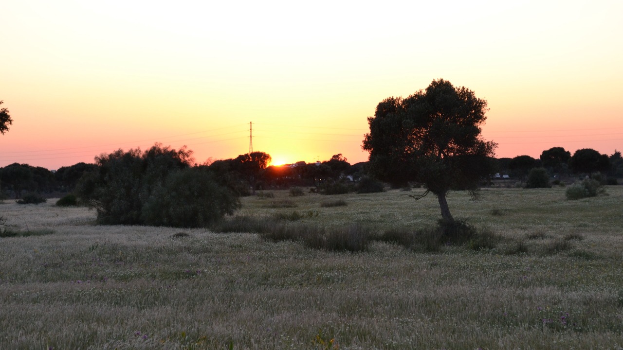 Photo of Outdoor in Los Canos de Meca