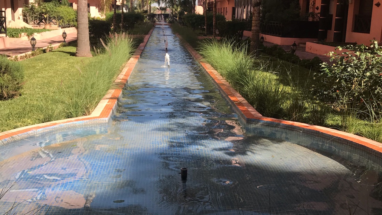 Photo of Outdoor in Palmeraie