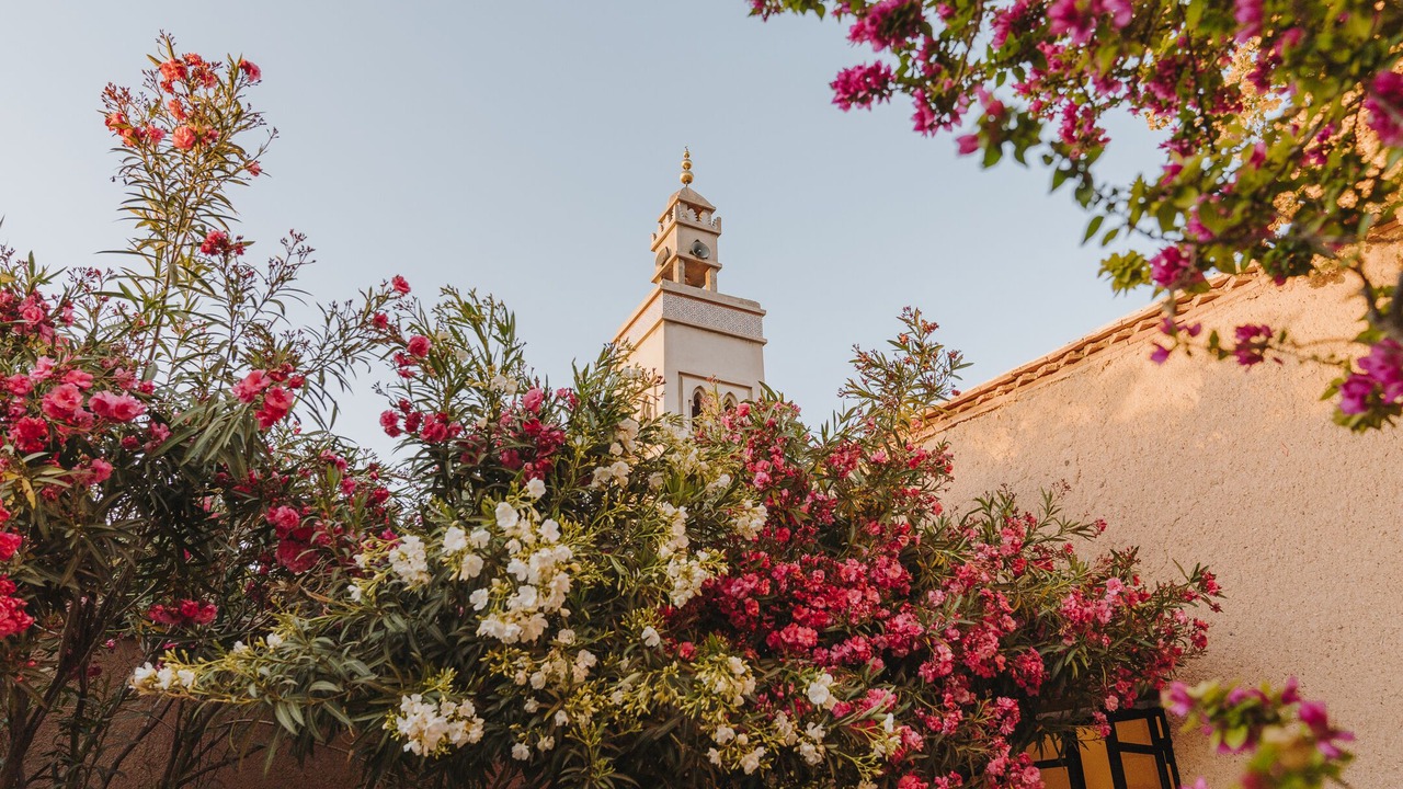 Photo of Outdoor in Oumnass