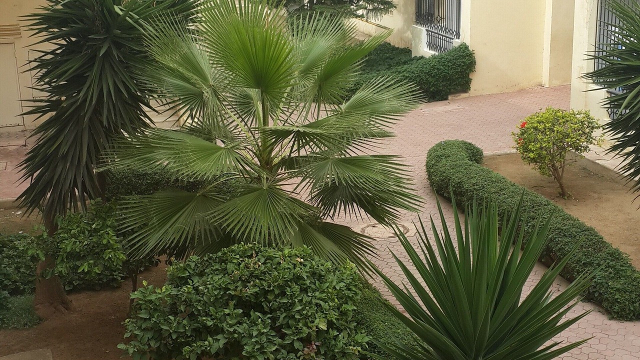 Photo of Outdoor in La Soukra