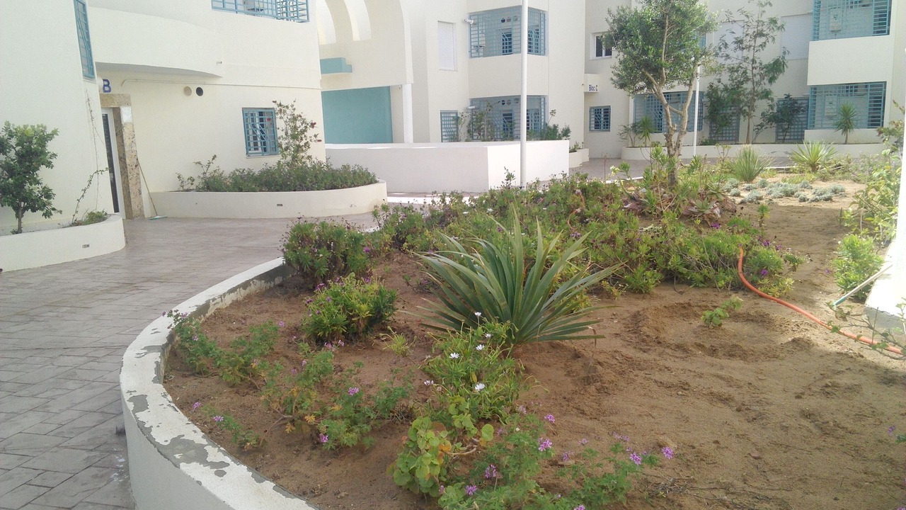 Photo of Outdoor in Hergla