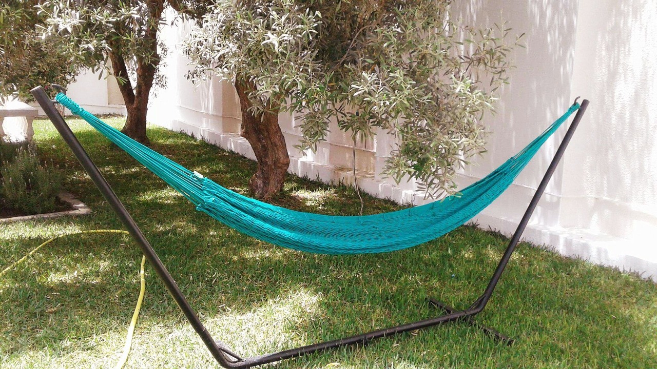 Photo of Outdoor in Sidi Bou Ali