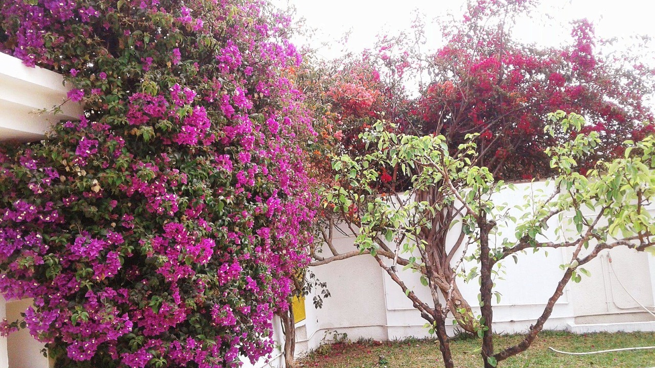 Photo of Outdoor in Sidi Bou Ali