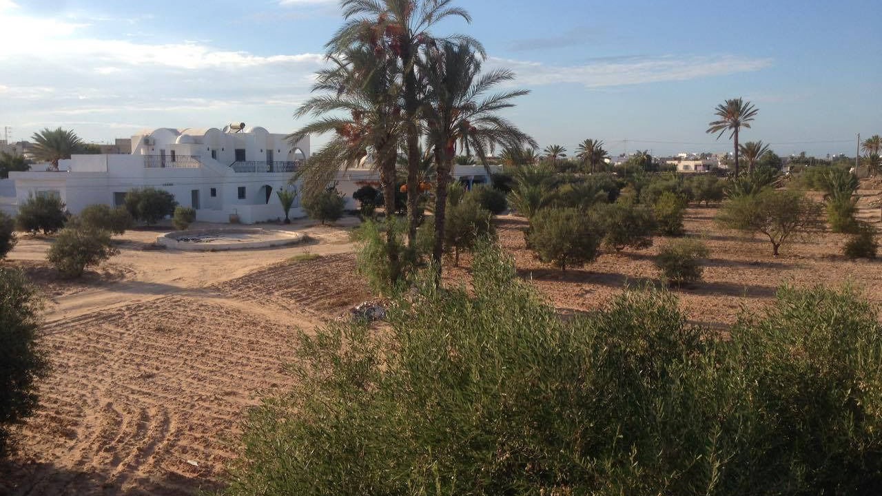 Photo of Outdoor in Djerba Midun