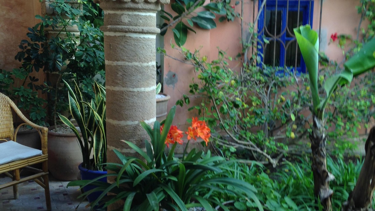 Photo of Outdoor in Ahl Agadir