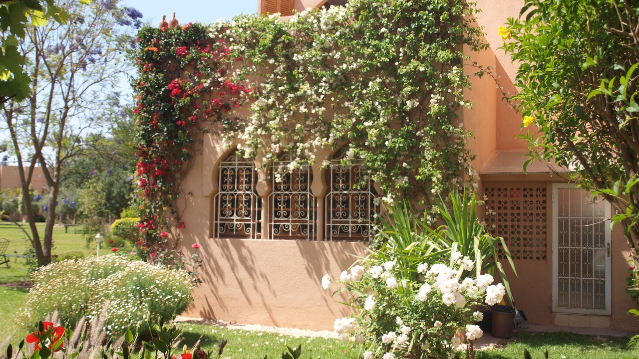 Photo of Outdoor in Palmeraie