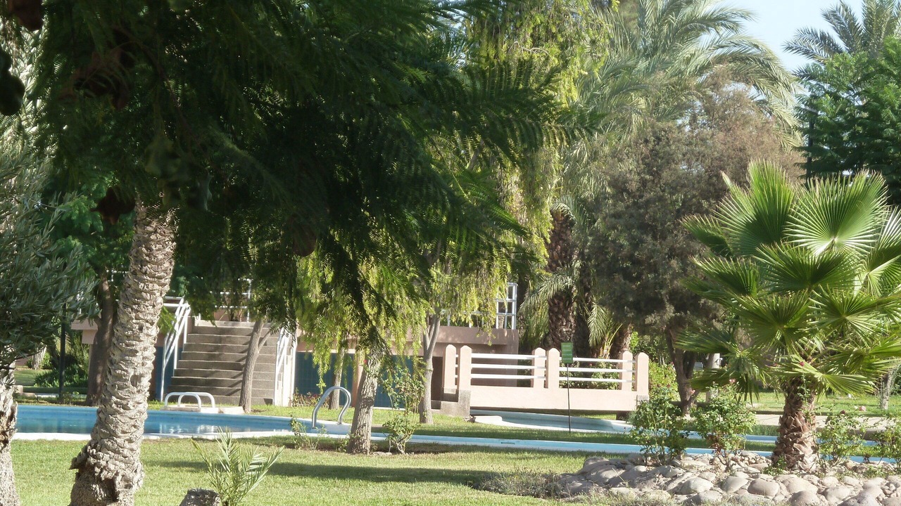 Photo of Outdoor in Palmeraie