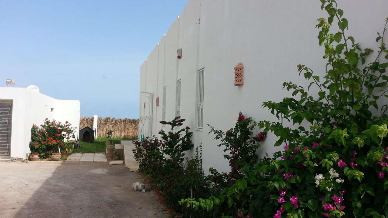 Photo of Outdoor in El Maamoura