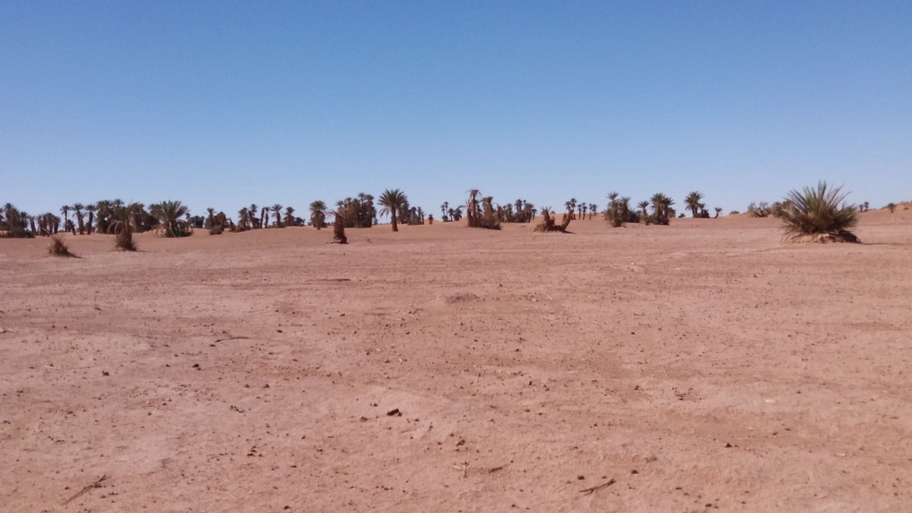 Photo of Others in M'Hamid El Ghizlane