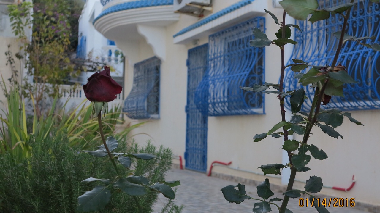 Photo of Outdoor in Bizerte