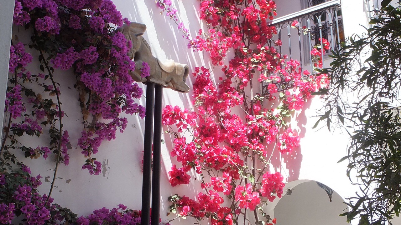 Photo of Outdoor in Bizerte