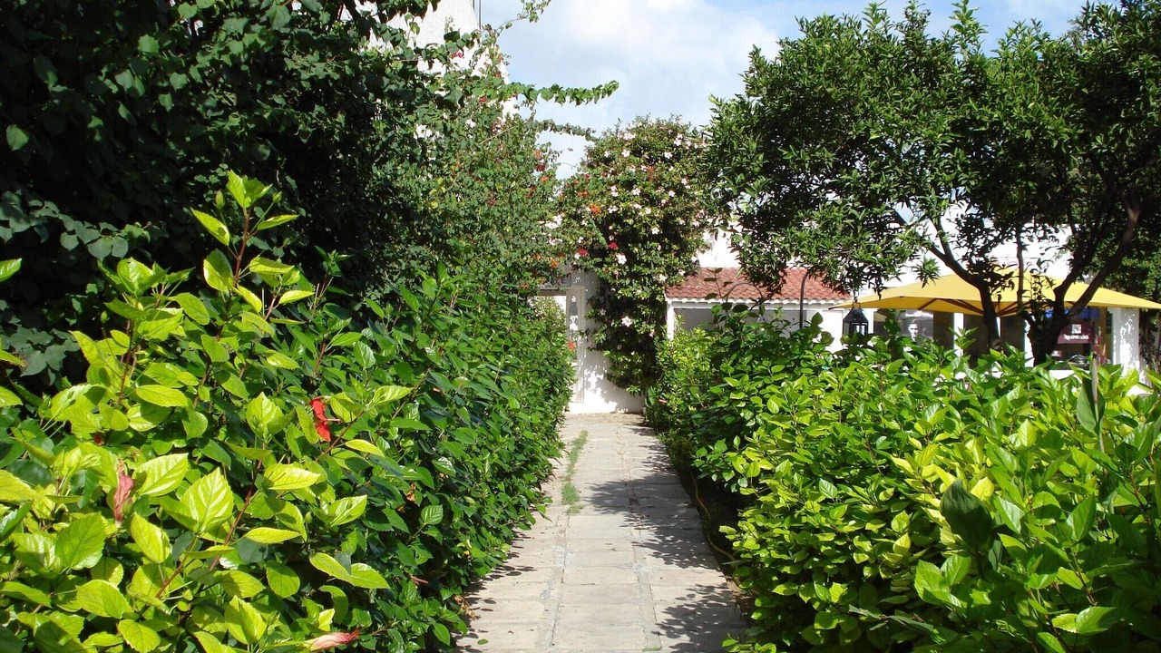 Photo of Outdoor in Hammamet Sud