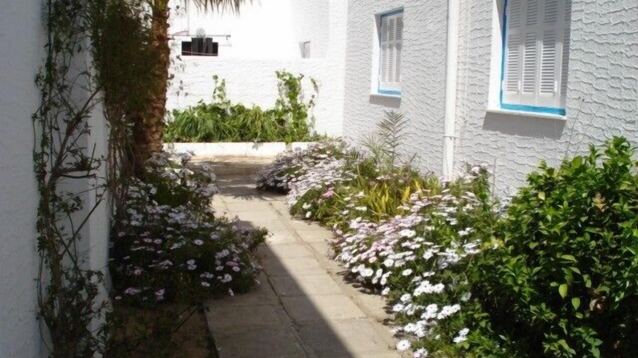 Photo of Outdoor in Hammamet Sud