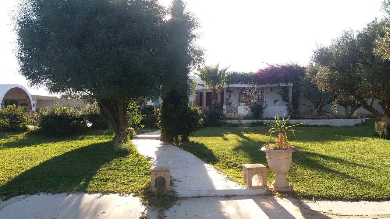 Photo of Outdoor in El Maamoura