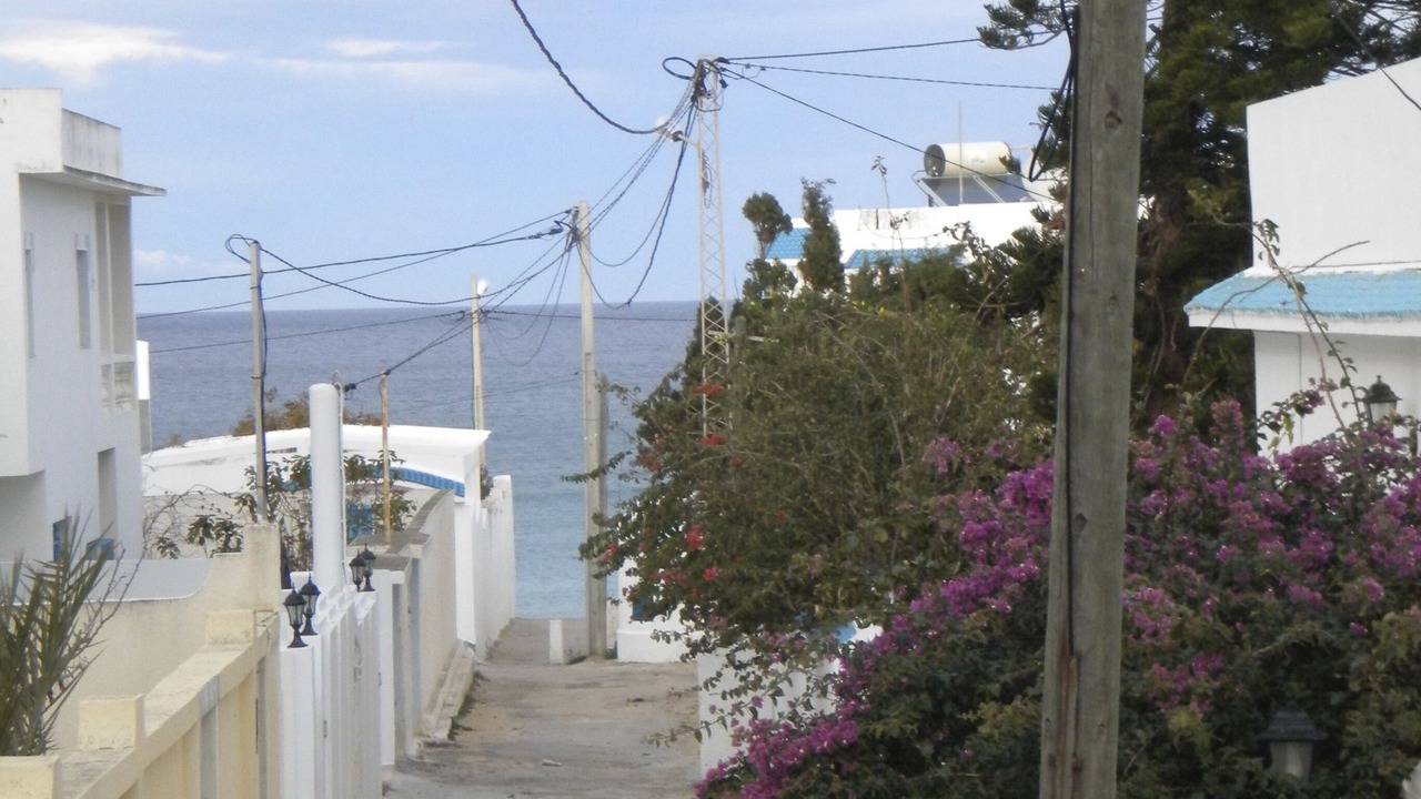 Photo of Outdoor in al hmeri