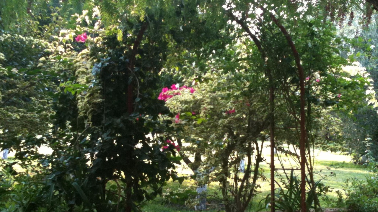 Photo of Outdoor in Hammamet Interieure