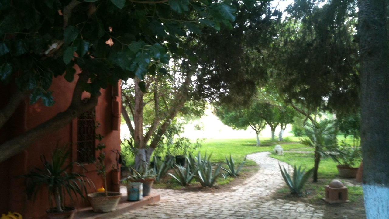 Photo of Outdoor in Hammamet Interieure