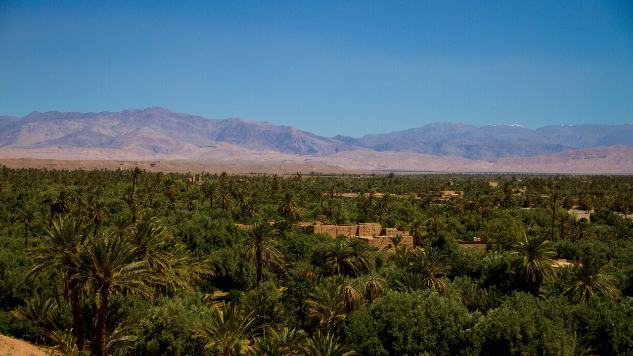 Photo of Outdoor in Skoura