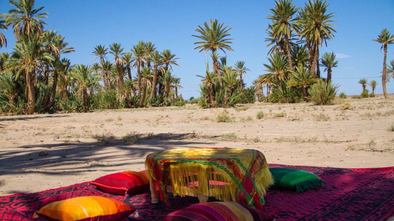 Photo of Others in Skoura