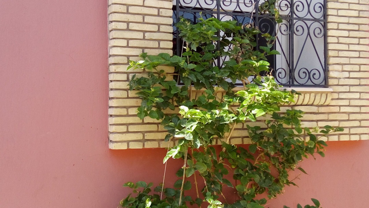 Photo of Outdoor in Tozeur