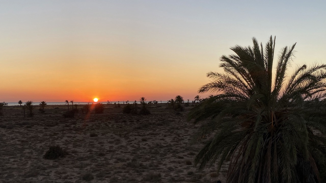 Photo of Others in Djerba Ajim